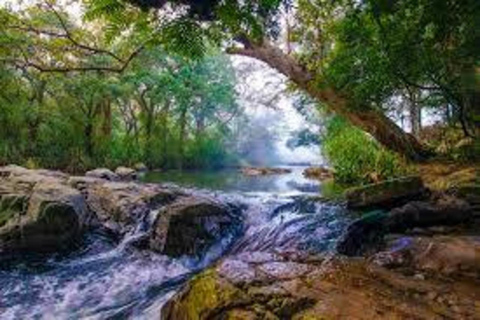 康提：米穆尔村一日游（含午餐及导览）康提：米穆尔村一日游（含午餐及导游服务）