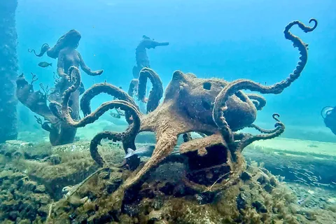 Busselton: Snorklingstur på bryggan med undervattensskulpturer
