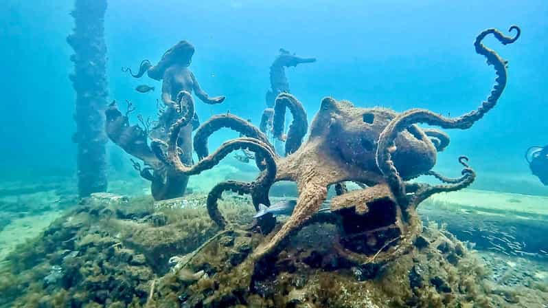 Busselton: Jetty Snorkeling Tour with Underwater Sculptures