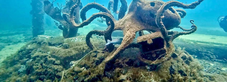 Busselton : Excursion de plongée en apnée sur la jetée avec sculptures sous-marines