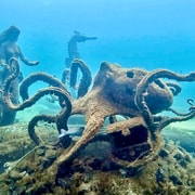 Busselton: Jetty Snorkeling Tour with Underwater Sculptures