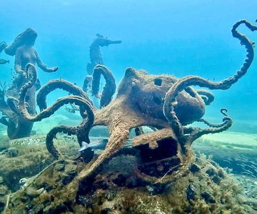Busselton: Jetty Schnorchel Tour mit Unterwasser-Skulpturen