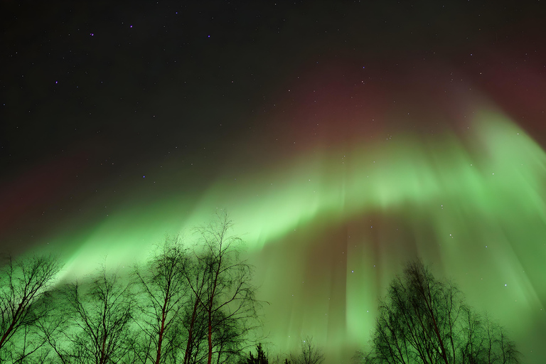 Rovaniemi Northern Lights – The Real Guaranteed Hunt