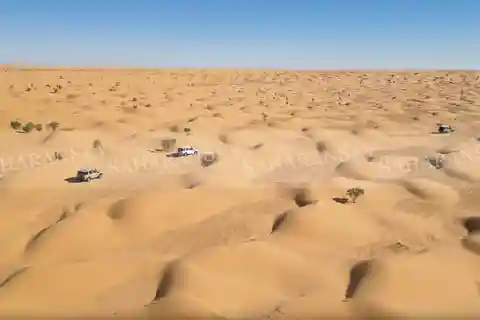 Douz: Sahara Desert Dune Ride with Tea Stop