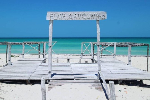 Wycieczka do Ría Lagartos, Coloradas i Playa CancúnitoMerida: Wycieczka na plażę Ria Lagartos, Coloradas i Cancunito