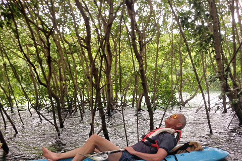 jozani forest and kayak tour at Uzi island