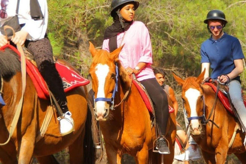 Fethiye Horse Safari Tour, Forest and Hisaronu View