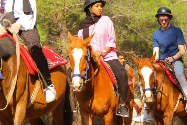 Fethiye Horse Safari Tour, Forest and Hisaronu View