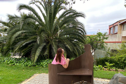 Casablanca: Private Wine Tour at Estancia El Cuadro, Valparaíso, Viña del Mar