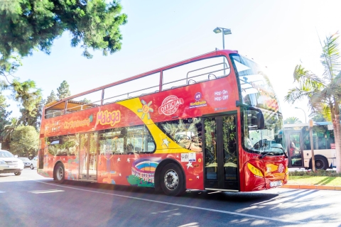 Malaga: Hop-on Hop-off Bus & Experience Card Options 24-Hour Bus Tour + Interactive Music Museum Entry