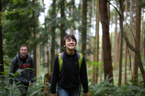 Hiroshima: Hike up Mt. Omine &amp; Panoramic View with Coffee