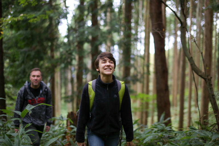 Hiroshima: Hike up Mt. Omine & Panoramic View with Coffee