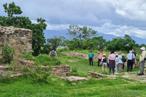 Oaxaca: Odkryj Monte Albán i targi w OaxacaOaxaca: Odkryj Monte Albán i smaki targowisk