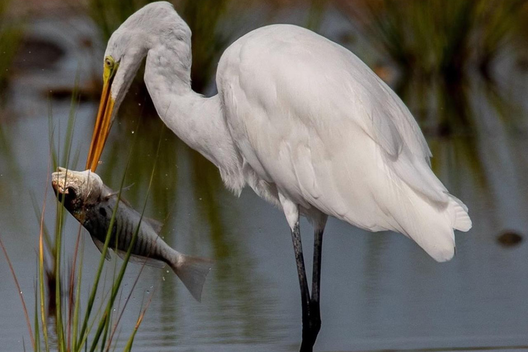 Ubud: Private Tour with Gunung Kawi Temple & Waterfall With Entry Tickets