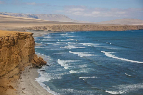 From Ica: Paracas Tour - Ballestas Islands