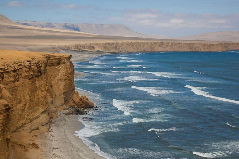 From Ica: Paracas Tour - Ballestas Islands