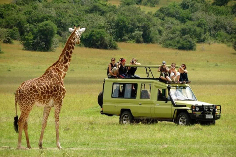 5 jours de migration, Tarangire, Serengeti et Ngorongoro