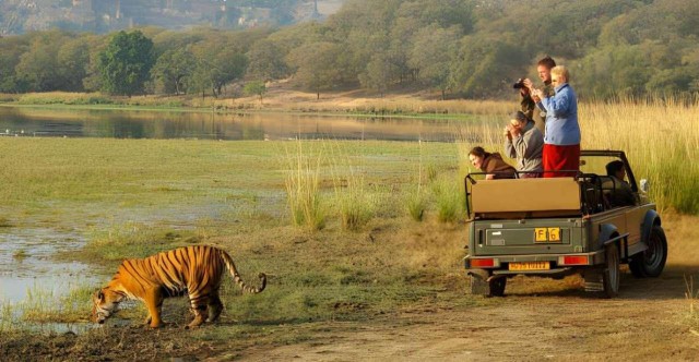 Visit The Ranthambore Safari Booking in Ranthambore