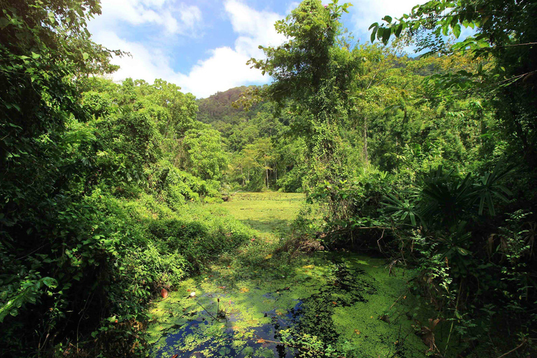 Phuket/Khao Lak: The Ultimate Surin Island Snorkel Odyssey Hotel pickup in Phuket