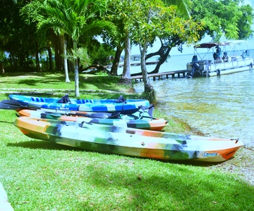 Mahahual: Chacchoben Mayan Ruins and Seven Color Lagoon Trip
