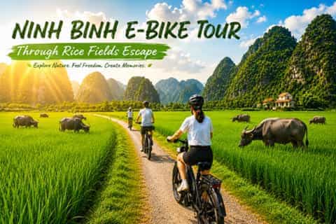 Ninh Binh: E-Bike Tour, Tam Coc, Embroidery & Cooking Class - Image 3