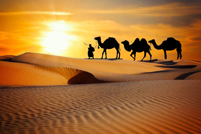 From Djerba: Night Under the Stars, Camel Riding, Star Wars Sites + Bivouac From Djerba: Night Under the Stars, Camel Riding, and Star Wars Sites + Bivouac