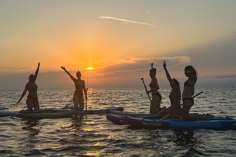 Marselha: passeio de stand-up paddle - descubra as calanquesExploração 2h