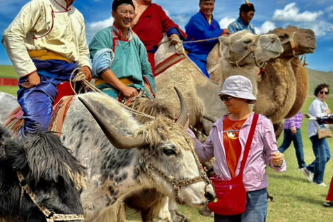 Ulaanbaatar: Mini Naadam Festival Entry Ticket