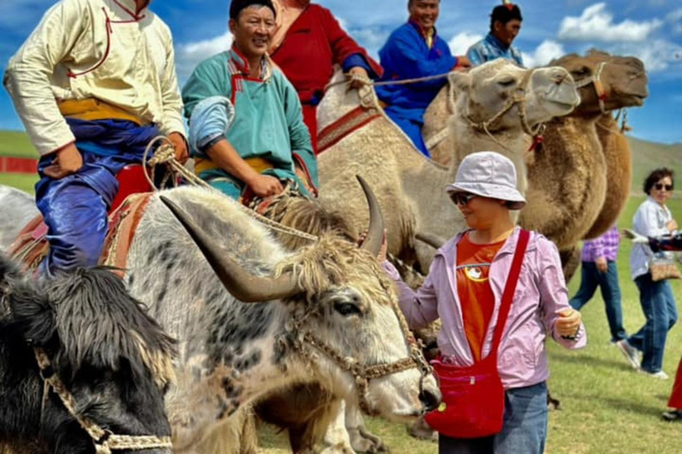 Ulaanbaatar: Mini Naadam Festival Entry Ticket
