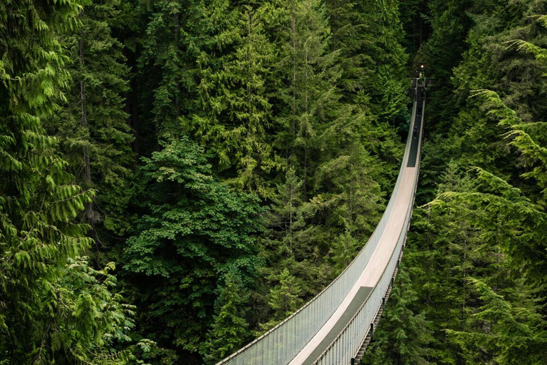 Vancouver: YVR Airport Private Transfer to/from Vancouver Arrival: YVR Airport to hotel in Vancouver city center