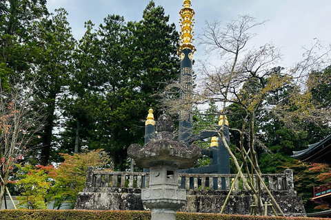 From Tokyo: Nikko World Heritage Private Tour with Guide Nikko World Heritage Full Day share Van tour