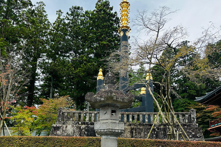 From Tokyo: Nikko World Heritage Private Tour with Guide Nikko World Heritage Full Day share Van tour