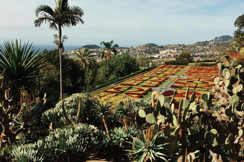 Funchal: wycieczka z przewodnikiem Tuk Tuk i ogrody botaniczne