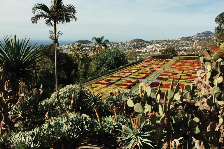 Funchal: wycieczka z przewodnikiem Tuk Tuk i ogrody botaniczne