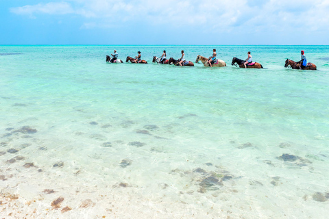 Providenciales: Beach and Ocean Horseback Riding Adventure