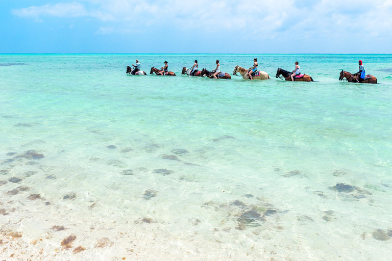 Providenciales: Beach and Ocean Horseback Riding Adventure
