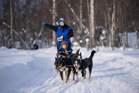 Tromsø: Dog Sledding Adventure at Camp Aspemo