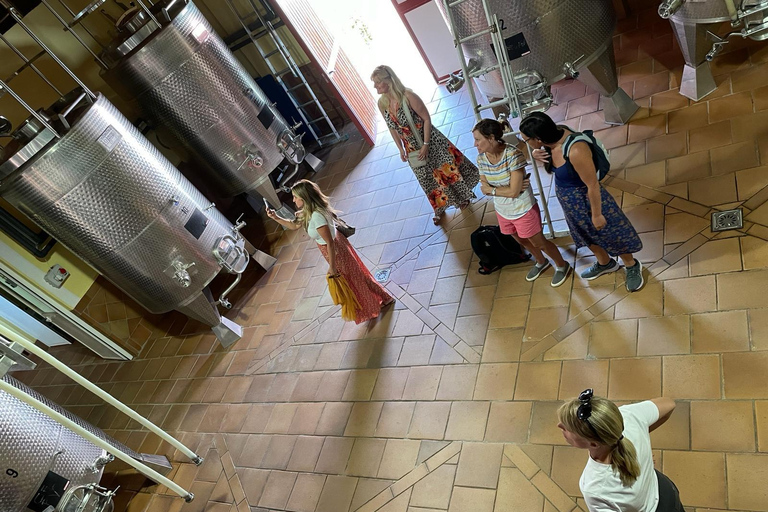 Ronda, Málaga: Winery Tour with Wine Tasting and Tapas