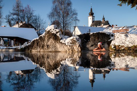 Tatra Mountains + Wellness - Top of Slovakia from Bratislava