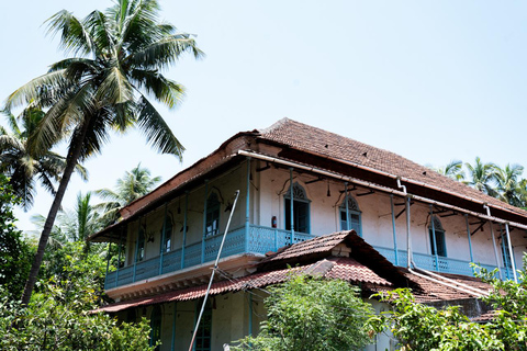 Scopri il sud di Goa in bicicletta - Cappelle, tè e sentieri costieriScopri il sud di Goa in bicicletta - cappelle, tè e sentieri costieri