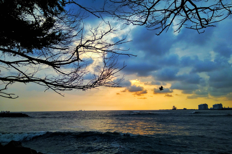 Hidden Tales of Old Kochi-Heritage Walk with a Local Insider