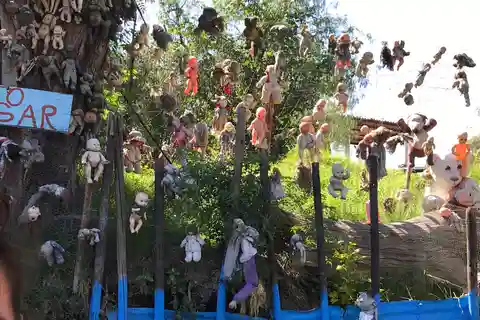 "Floating Fiesta in Xochimilco : Canals, Tequila and Tradition" (fête flottante à Xochimilco : canaux, tequila et tradition).