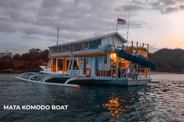 Komodo Tour Private 3D2N na łodzi i w hoteluZ Bali: Komodo Tour Private 3D2N na łodzi i w hotelu
