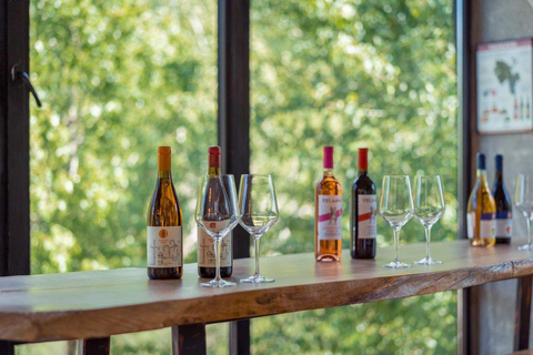 Ananuri, Gudauri and Kazbegi full Day Trip option