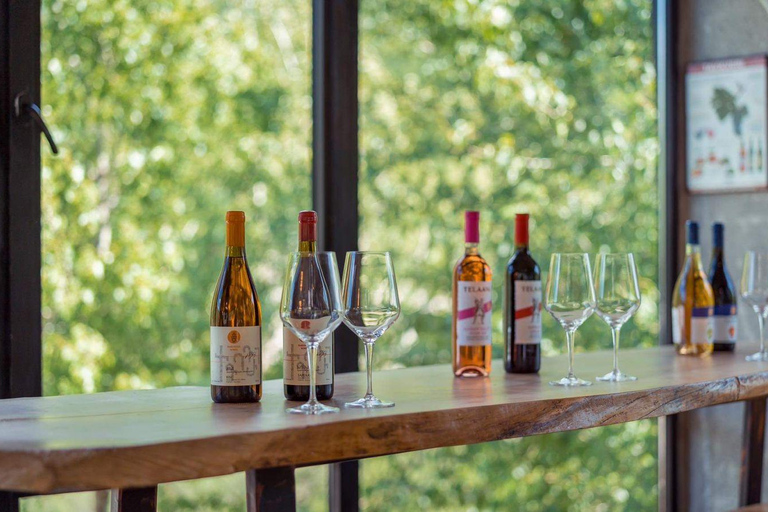 Ananuri, Gudauri and Kazbegi full Day Trip option