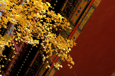 Beijing Forbidden City Tickets Booking Service