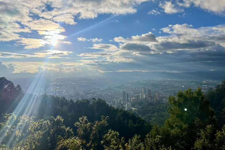 The Route of Water and Mist: Páramo Trek in Cruz Verde