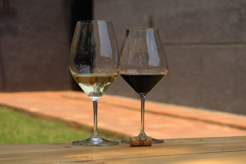 Kigali: experiencia de cata de vinosTerruño africano