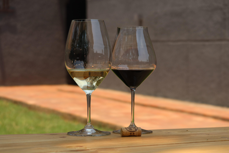 基加利：品酒体验全球葡萄品种深度解析