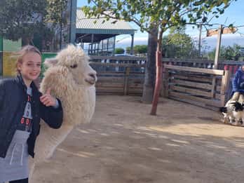 From Salou: animal farm park with hotel pickup